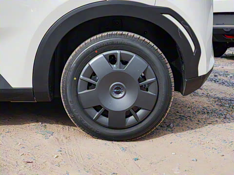 2025�� �Ǽݰ� 305km ������