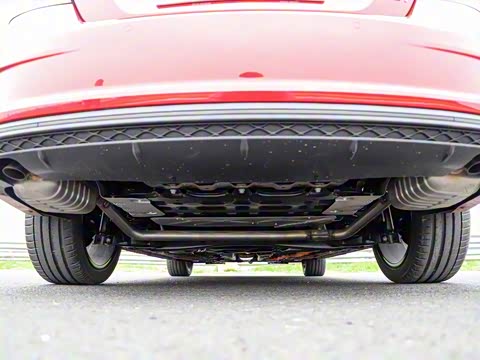 2019�� 50T Trophy 5���