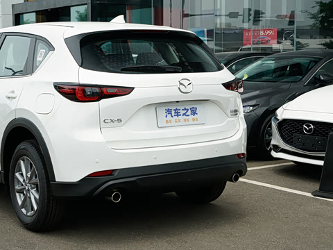 2025�� 2.0L �Զ�����������