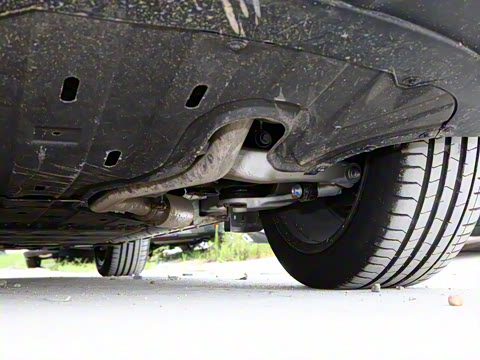 2022�� �������������