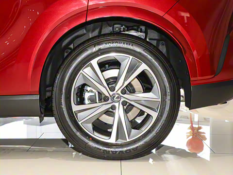 2025�� 300 ����������