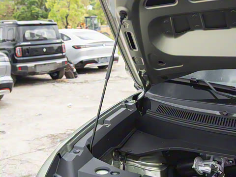 2026�� 501km�����