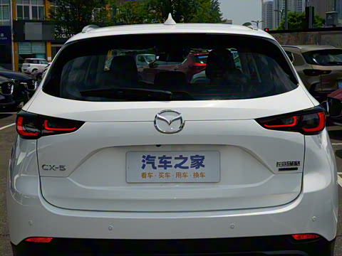 2025�� 2.0L �Զ���������Pro