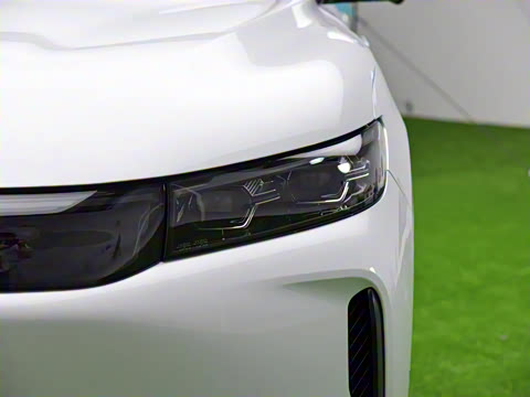 2025�� FREE+ ����Ǭ����