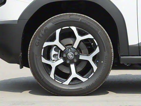 2025�� 150km ̽��