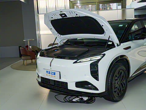 2025�� 605 ��ѡ��