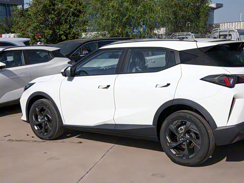 2025�� Ӱ�� 270T ������ ƽ������