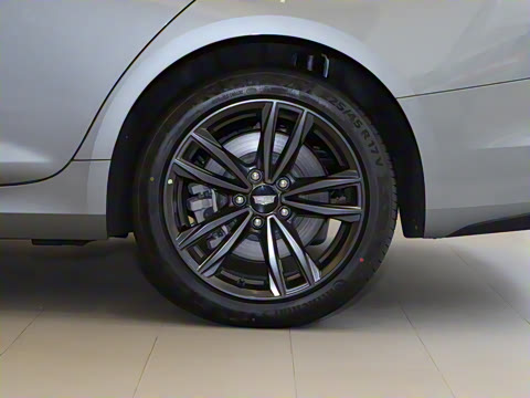 2023�� 25T ������