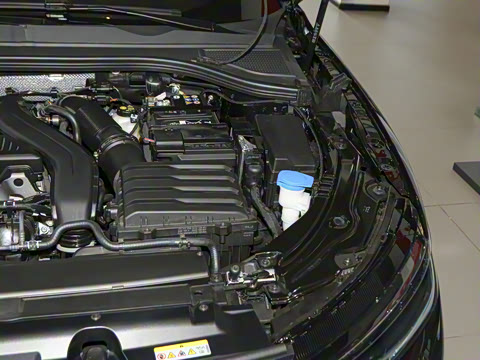 2025�� Pro 300TSI ��ҫ��