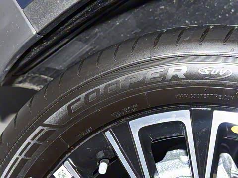 2025�� 300T �����ǹ��