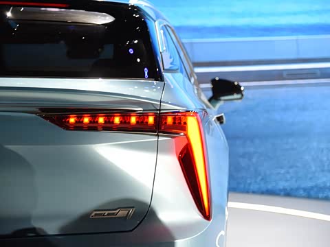 2020�� TOP��