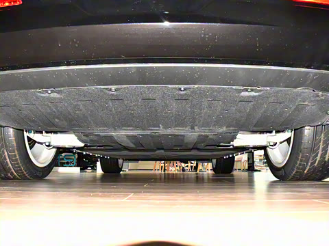 2025�� 636Max���Ȱ� 6��