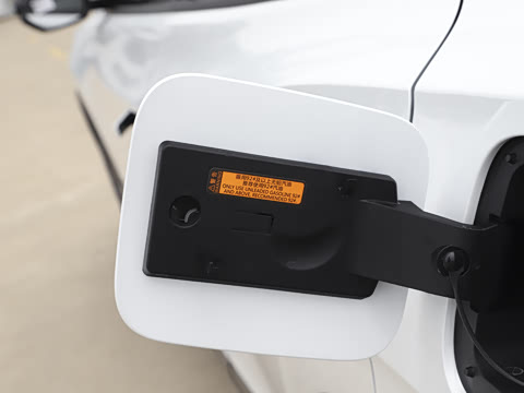 2025�� 205��������������