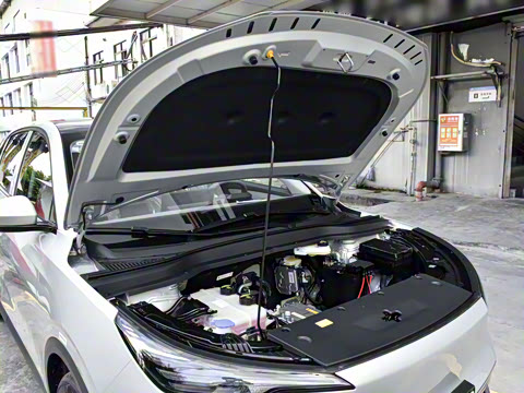 2025�� 445km ��ѡ��