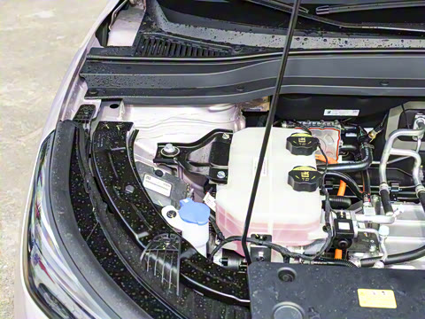 2025�� 445km ���ð�