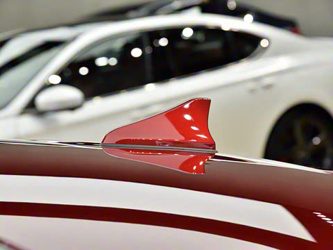 2021�� 2.0T �����콢��