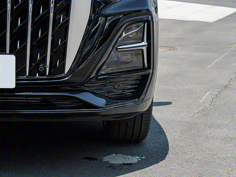 2025�� 2.0T ��������Pro��