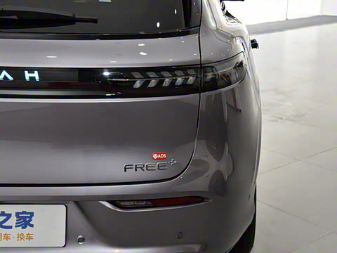 2025�� FREE+ ����Ǭ����