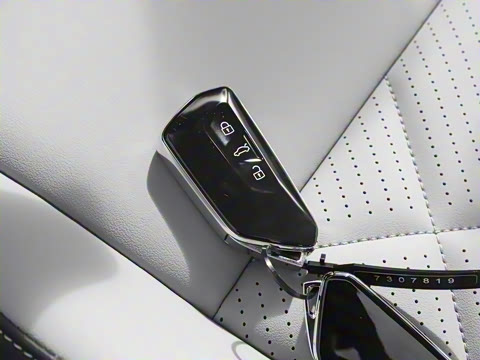 2025�� ̽��L 300TSI ������Ӣ