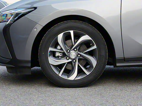 2022�� ���춯 �����ǻ���