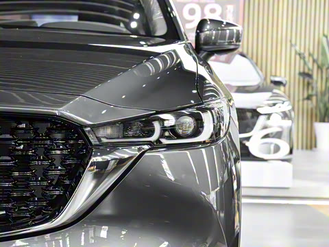 2025�� 2.0L �Զ�����������