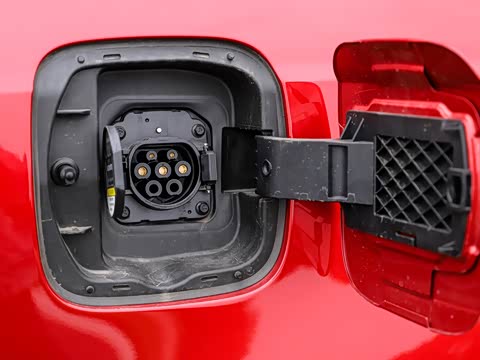 2019�� 50T Trophy 5���