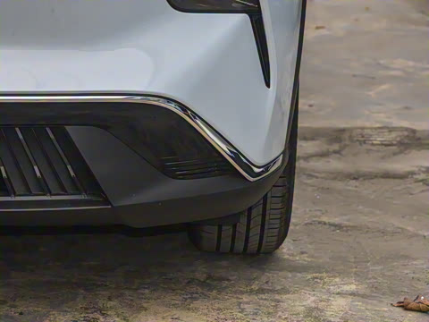 2025�� 565km ������