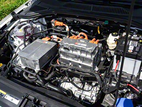 2019�� ������