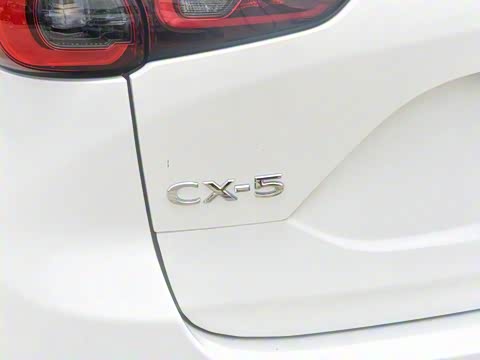 2025�� 2.0L �Զ�����������