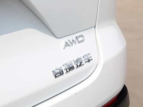 2024�� �ھ��� 390T �����۷�� 5��