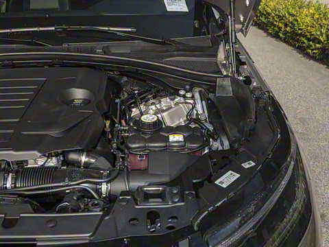 2026�� 250PS Dynamic SE