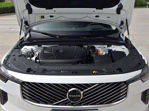 2026�� ���ʽ�춯 �������������ź�����