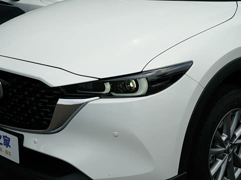 2025�� 2.0L �Զ�����������