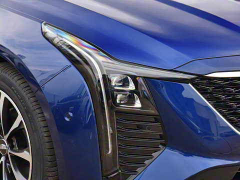 2025�� 28T �����˶���