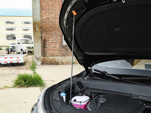 2025�� 55km ������