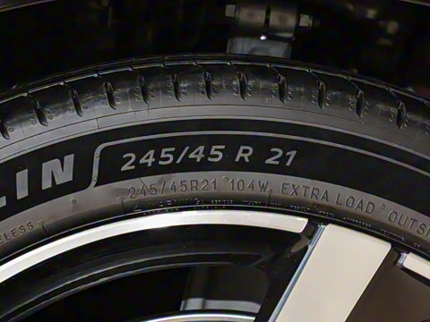 2025�� ������������������Max��