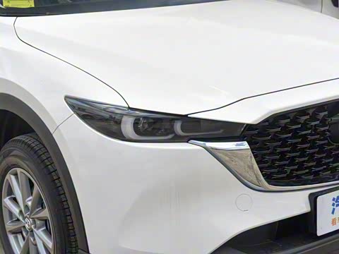 2025�� 2.0L �Զ�����������