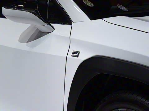 2019�� 200 F SPORT��