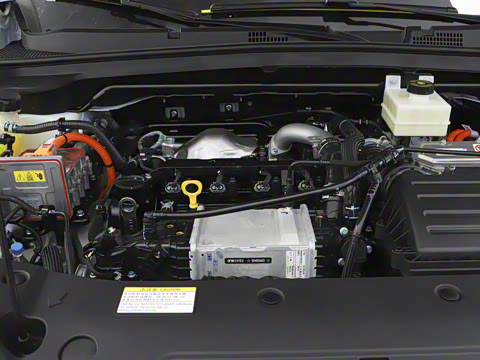 2025�� 205��������������