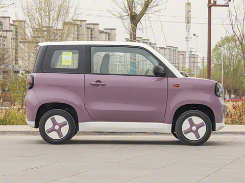 2025�� Pro 201km ���ư�