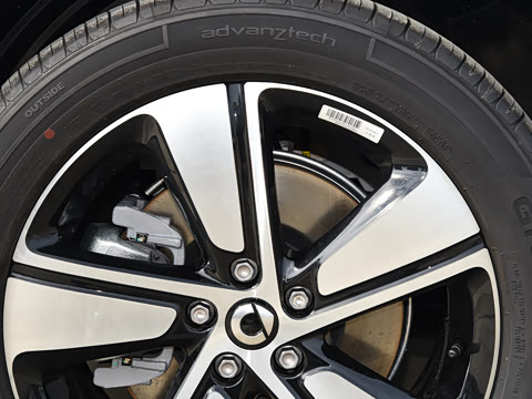 2026�� �鶯��������