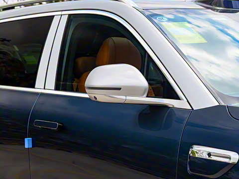 2025�� ���� Max�� 52kWh 5����