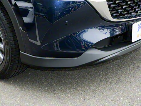 2025�� 2.0L �Զ�����������