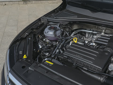 2025�� �Ŀ� 200TSI DSG���е�����