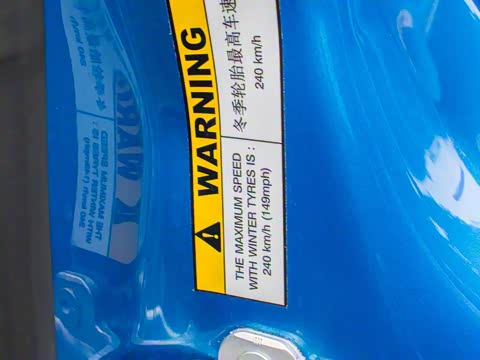 2019�� Tributo 3.9T V8