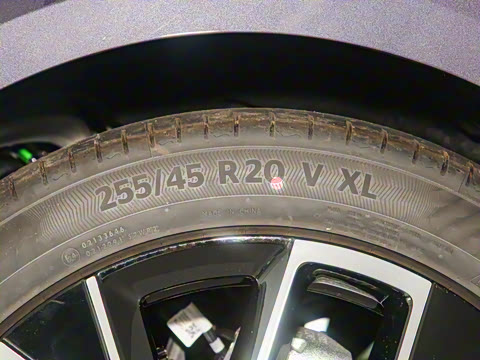 2025�� Max�����