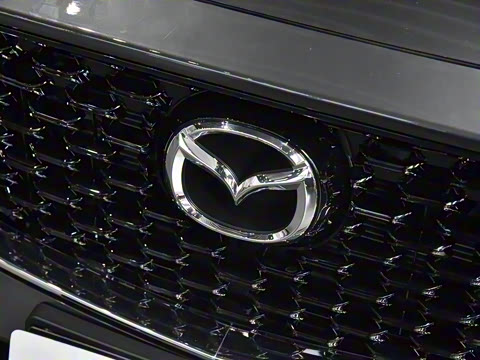 2025�� 2.0L �Զ�����������