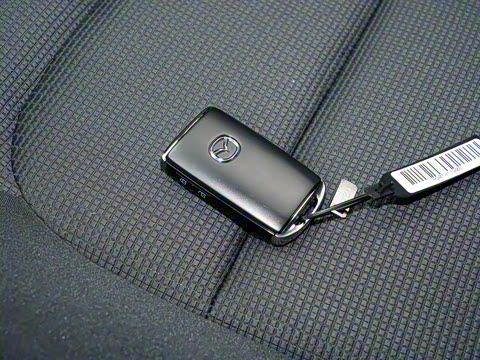 2025�� 2.0L �Զ�����������