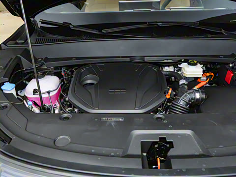 2025�� 55km ������