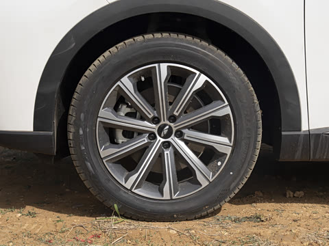 2025�� 120 �������������� 5�� �������